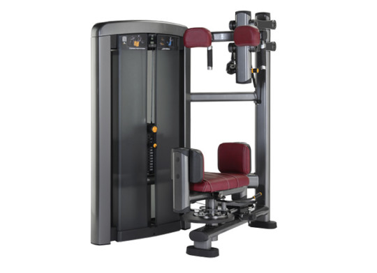 Maszyna do treningu mięśni skośnych - Life Fitness Torso Rotation 
